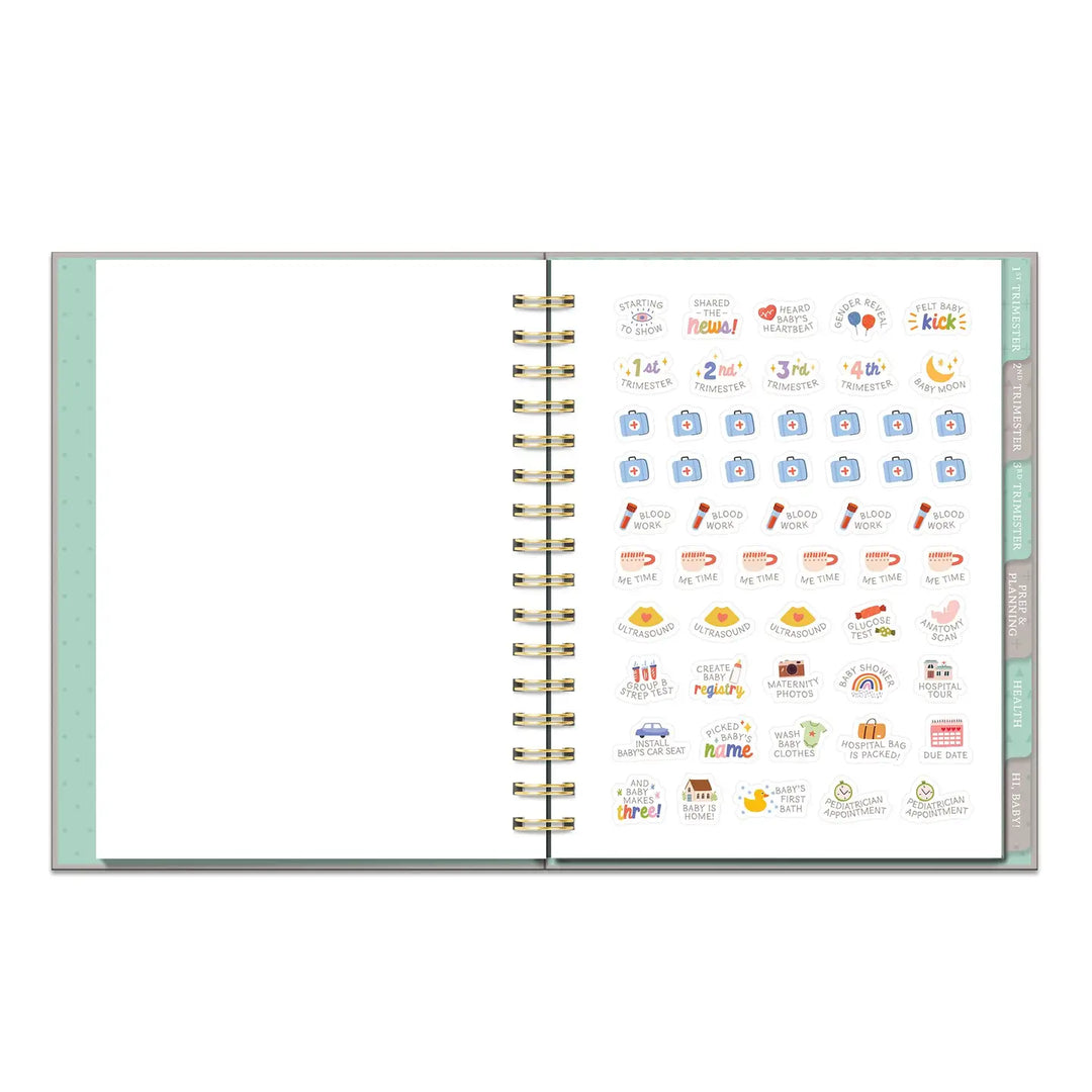 Countdown to Baby Undated Pregnancy Planner