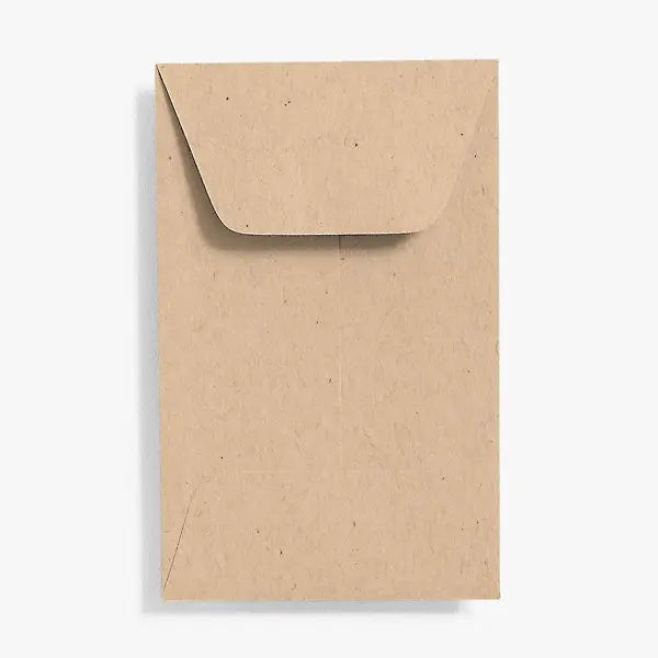 Coin Envelopes (Set of 20)