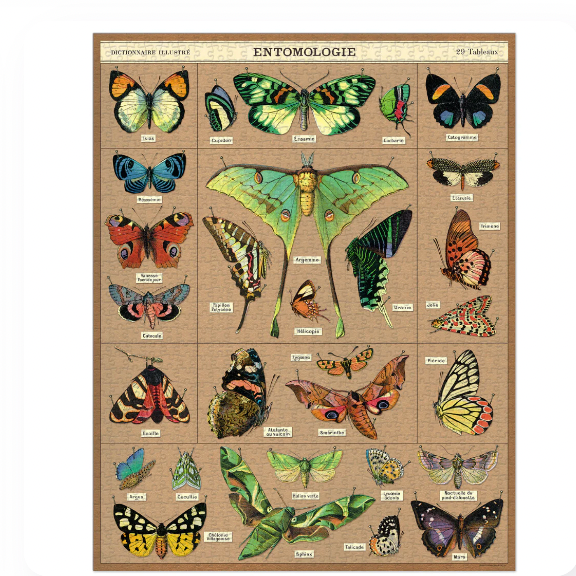 Entomology 1,000 Piece Puzzle