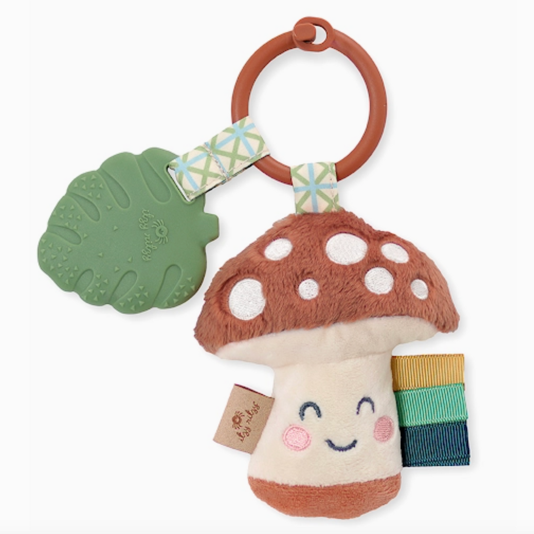 Itzy Pal Plush and Teether