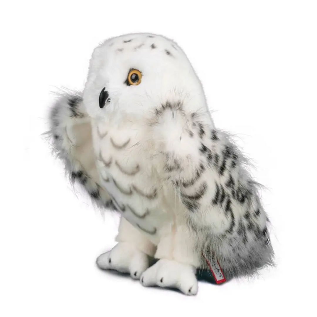 Legend the Snowy Owl