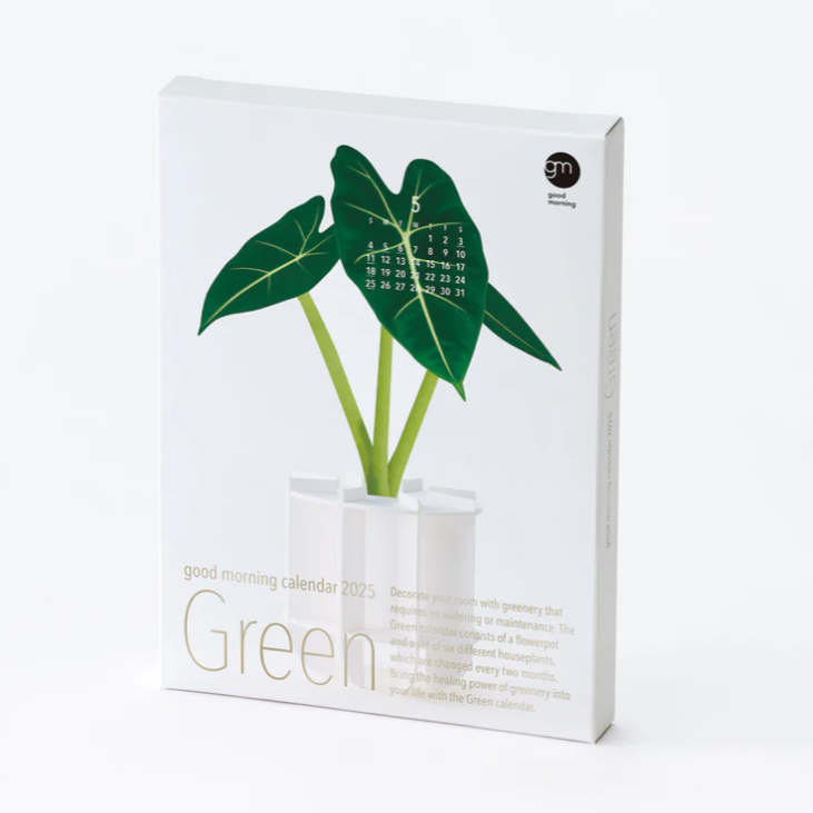 Green 3D 2025 Calendar