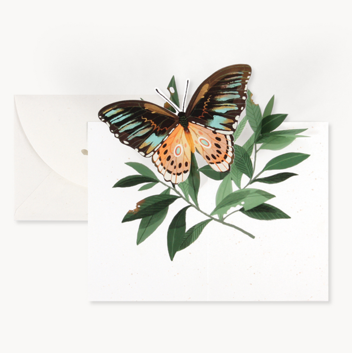 Butterfly Everyday Card