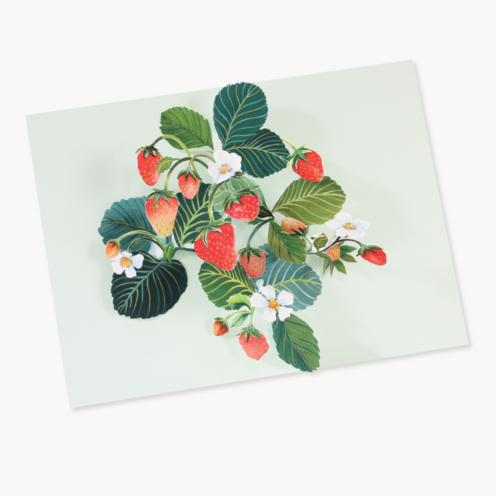 Strawberries Birthday Pop-up Card