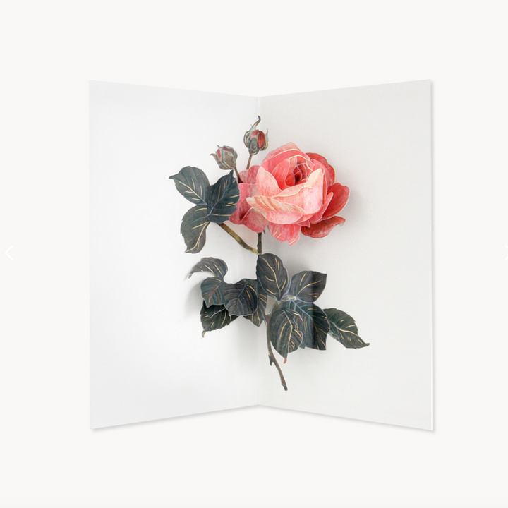 Rose Pop-up Card