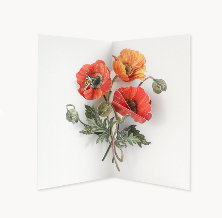 Poppies Pop-up Card