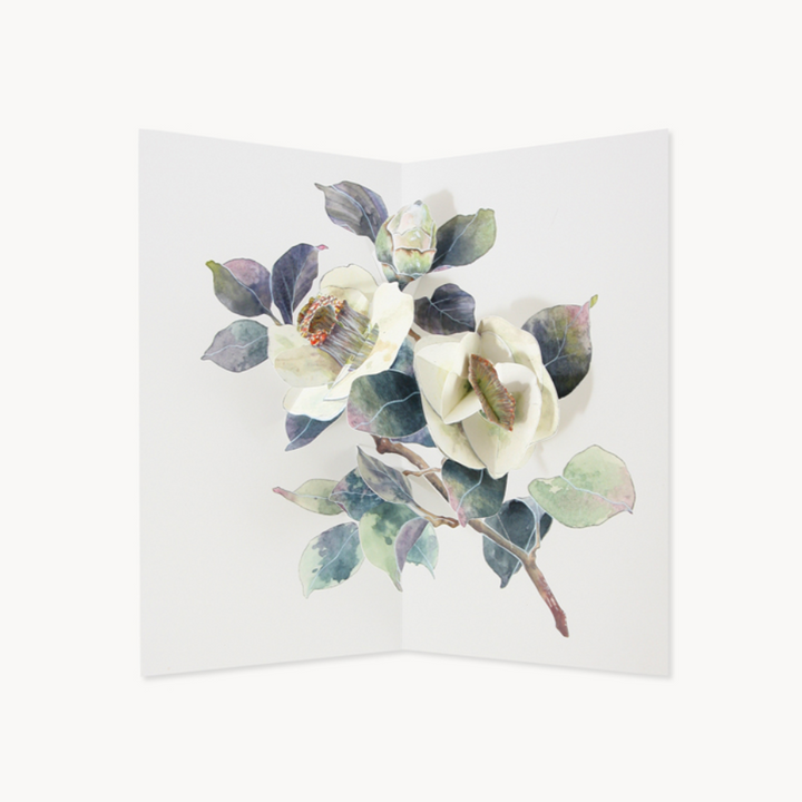 Camellia Pop-up Card