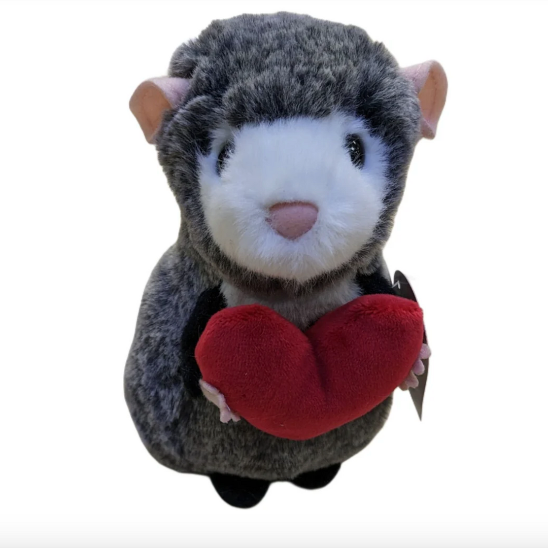 Valentine Possum with Heart