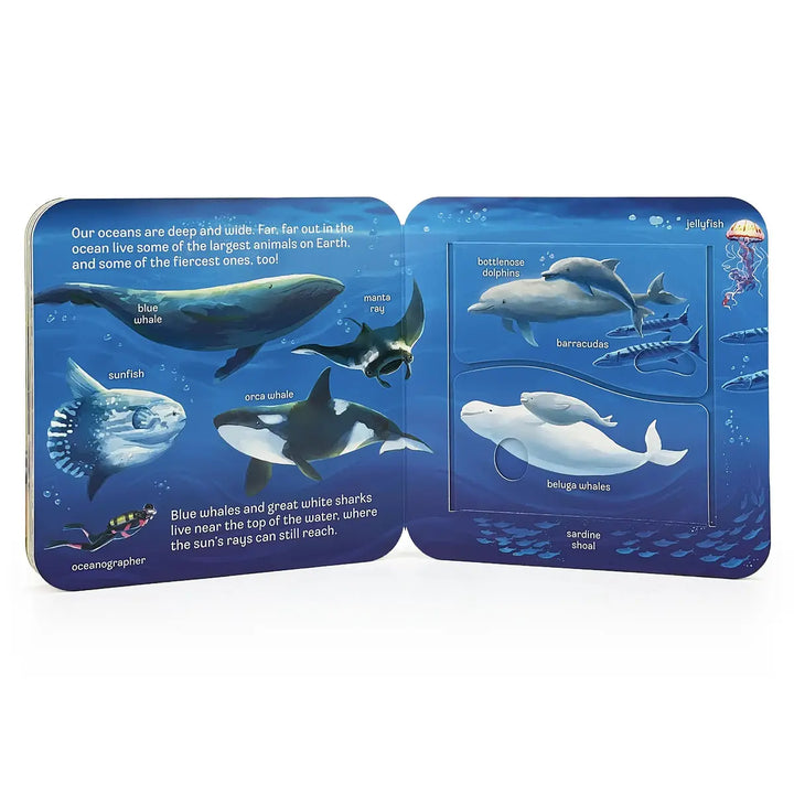 Ocean Lift-A-Flap Board Book