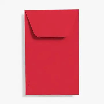 Coin Envelopes (Set of 20)