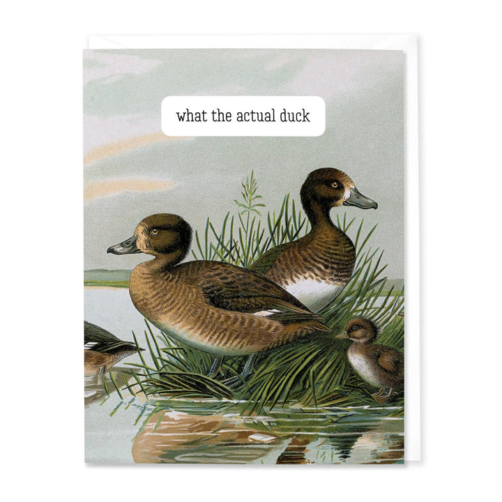 What the Actual Duck Card