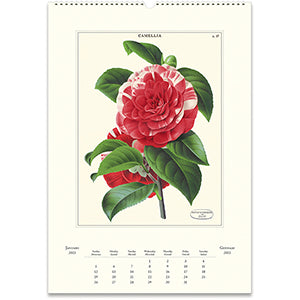 Wall Calendar - Botanica (2025)