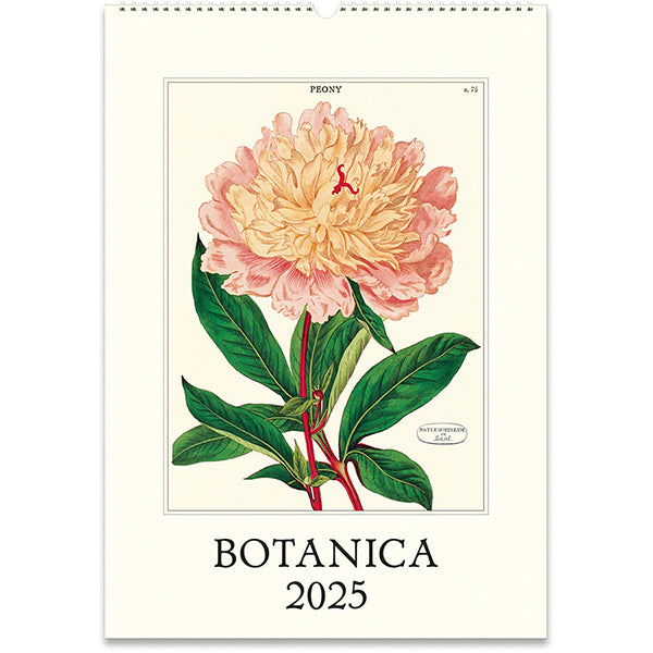 Wall Calendar - Botanica (2025)