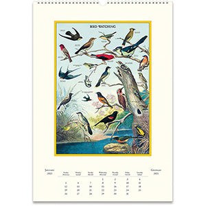 Wall Calendar - Bird Watching (2025)