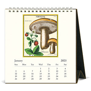 Desk Calendar - Foraging (2025)