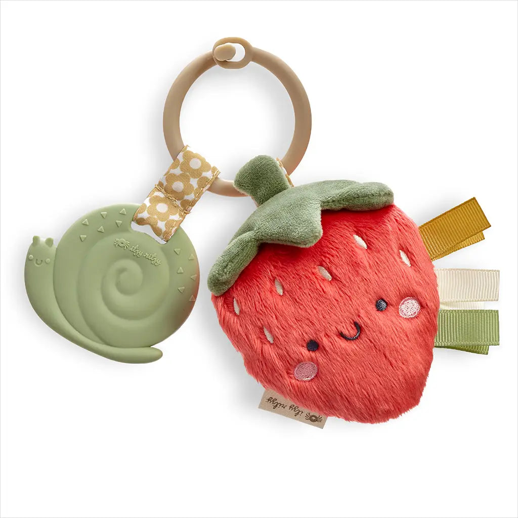 Itzy Pal Plush and Teether