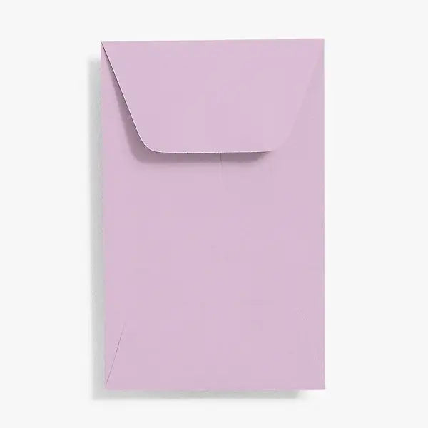 Coin Envelopes (Set of 20)