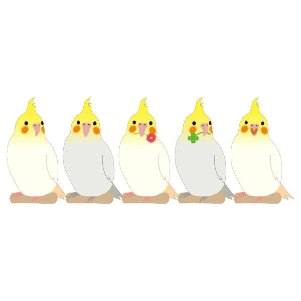 Cockatiel Memo Pad