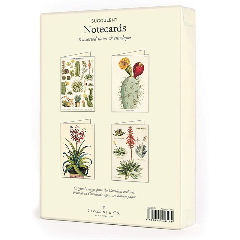 Succulents Assorted Note Card (set of 8)