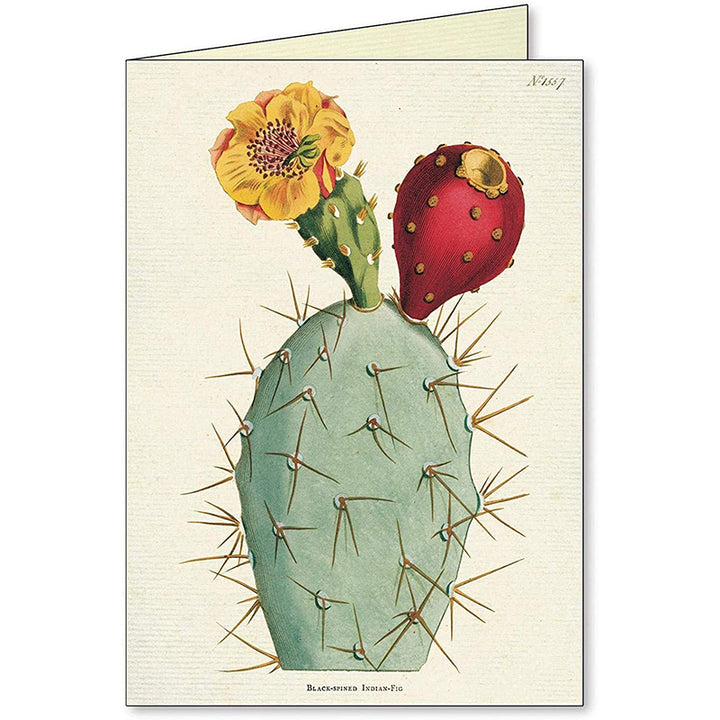 Succulents Assorted Note Card (set of 8)