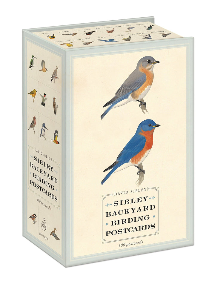 Sibley Backyard Birding Postcards: 100 Postcards