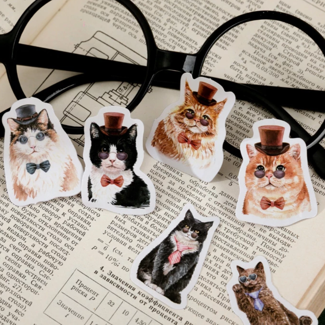 Mister Kitty Stickers - pack of 45