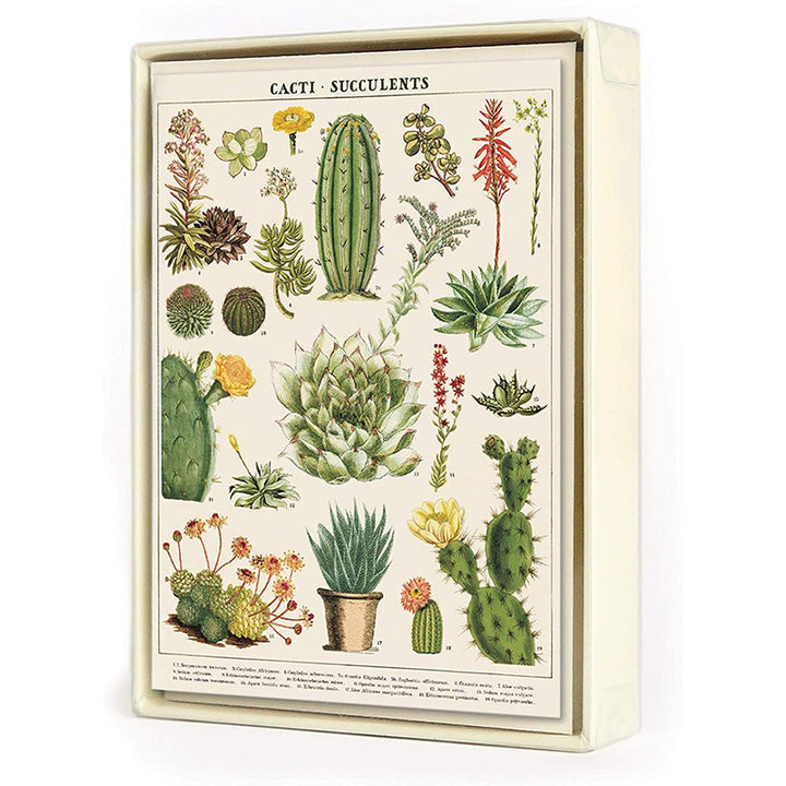 Succulents Assorted Note Card (set of 8)