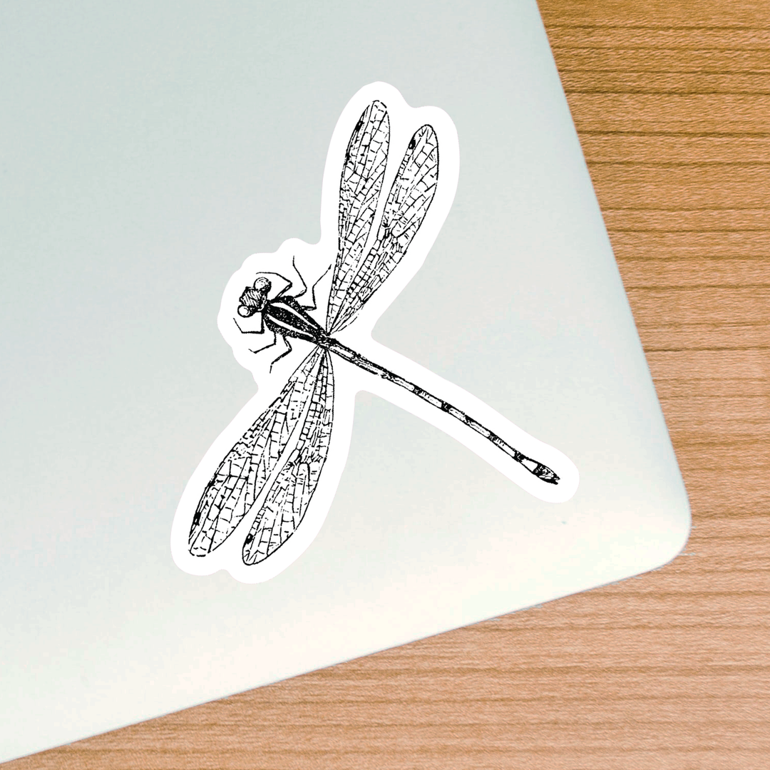 Dragonfly Sticker